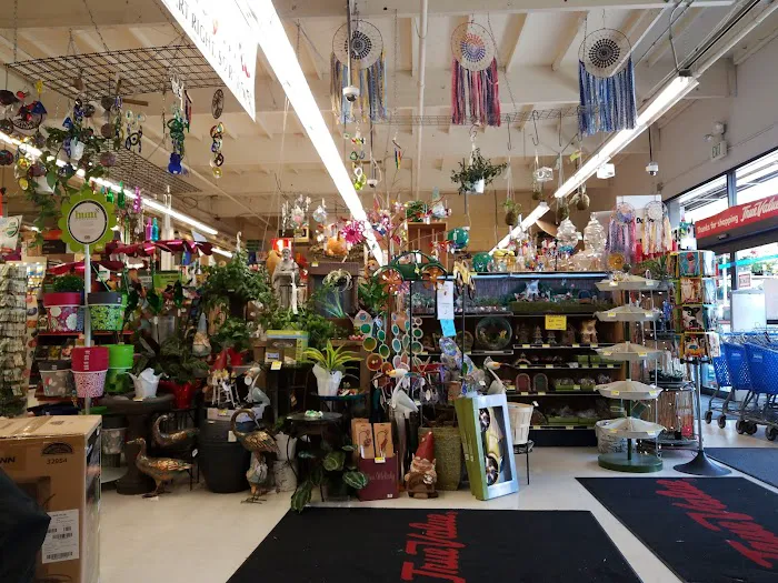 Junction Ace Hardware 4