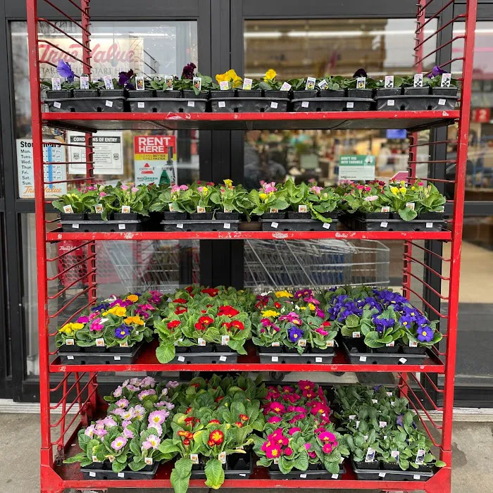 Junction Ace Hardware 2