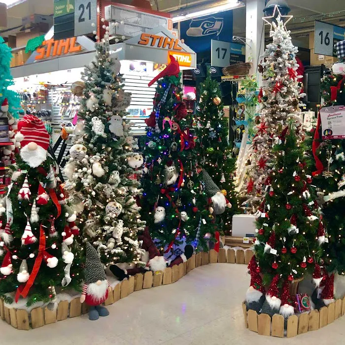 Junction Ace Hardware 9