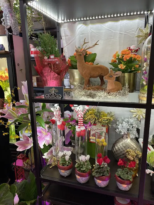 Our Secret Garden 2