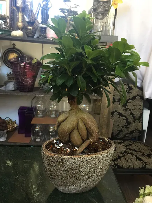 Our Secret Garden 6