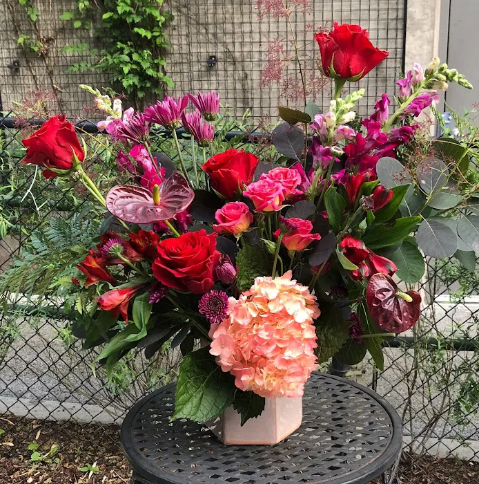 Our Secret Garden 9