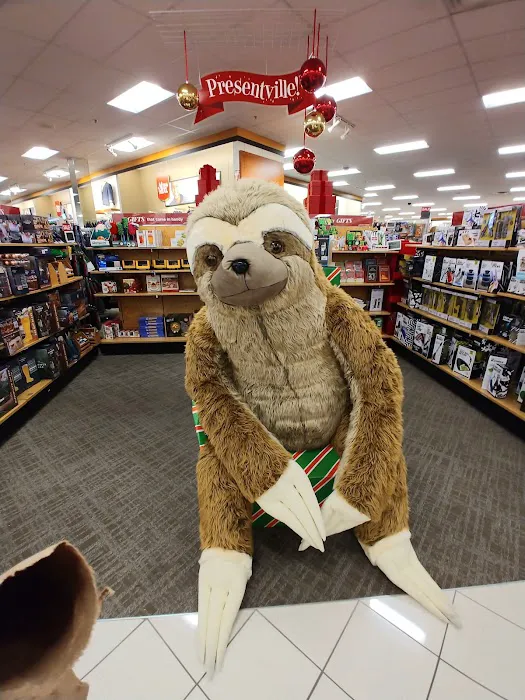Kohl's 9
