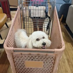 HomeGoods ico
