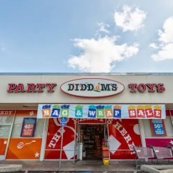 Diddams Party & Toy Store ico