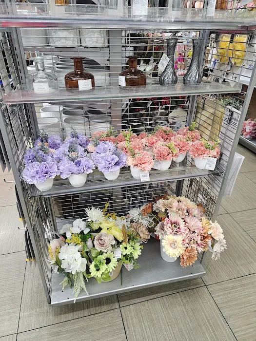 Daiso - Japanese Household Goods 9