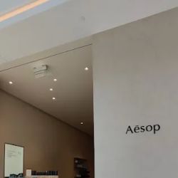 Aesop Valley Fair ico