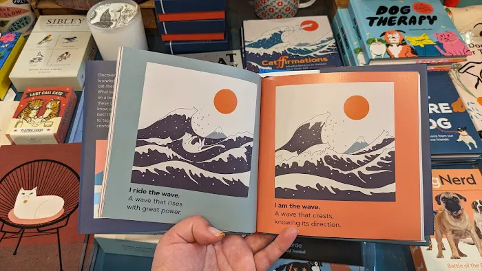 Therapy Stores 1