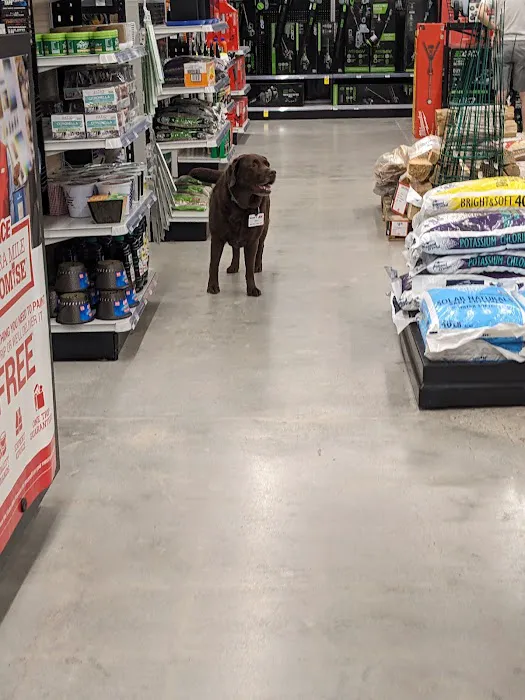 Westgate Ace Hardware 1