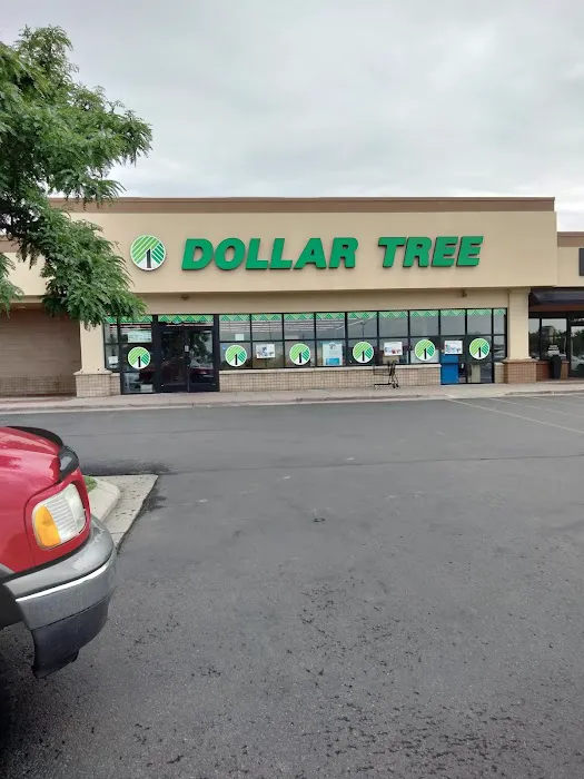 Dollar Tree 1