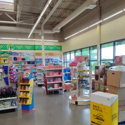 Dollar Tree ico