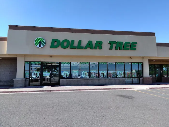 Dollar Tree 4