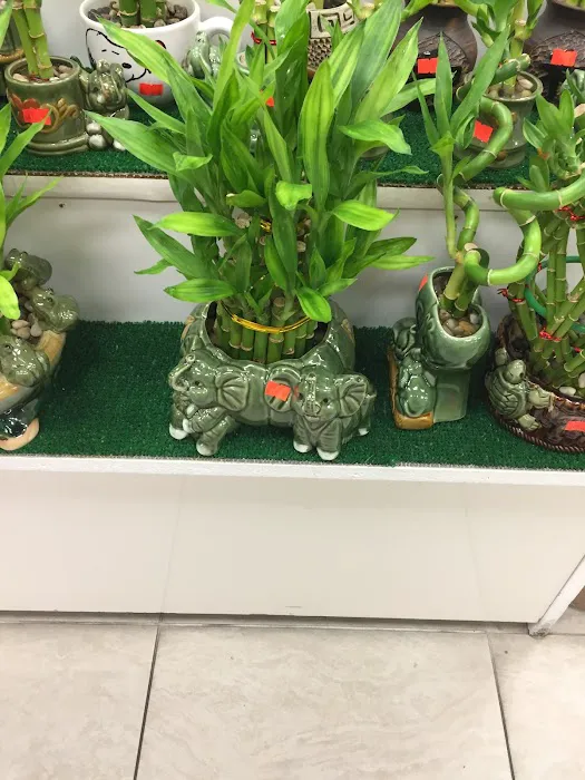 99¢ Plus 8