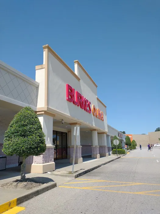 bealls 3