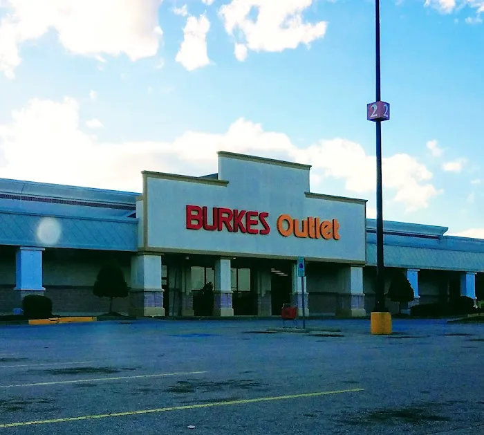 bealls 7