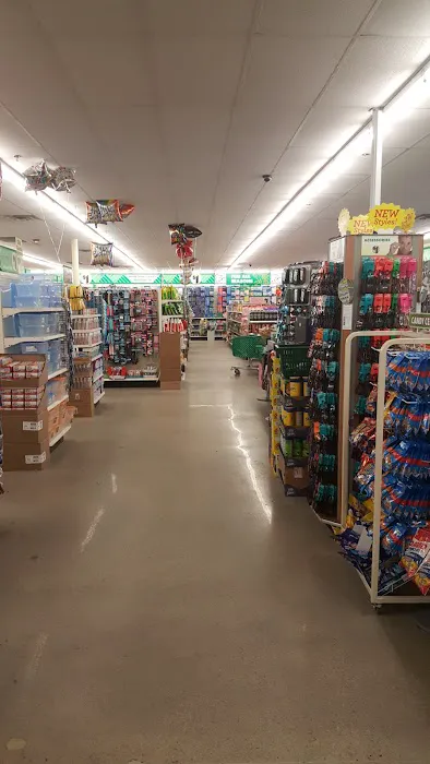 Dollar Tree 8