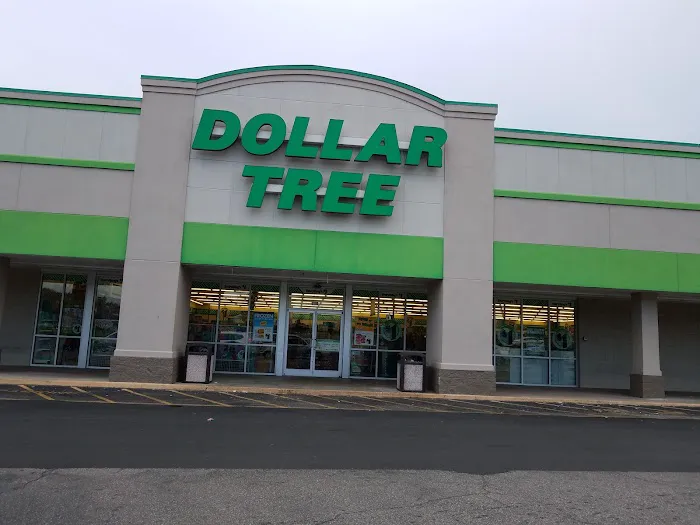 Dollar Tree 8