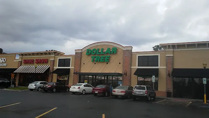 Dollar Tree 8