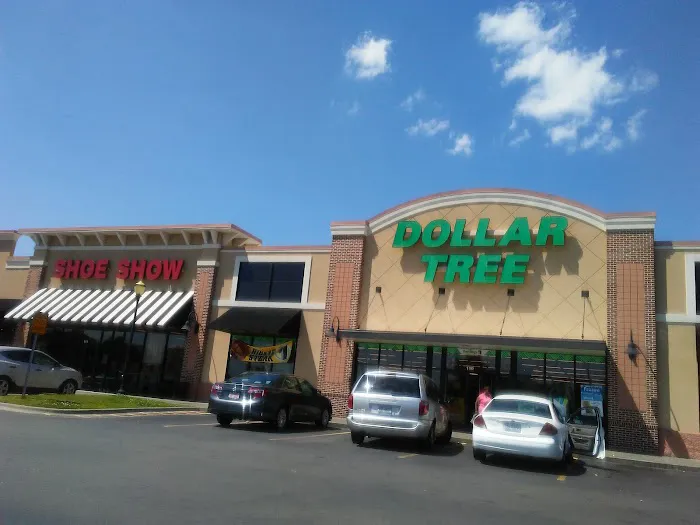 Dollar Tree 7