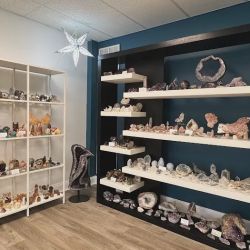 The Light Spiritual Wellness Center ico