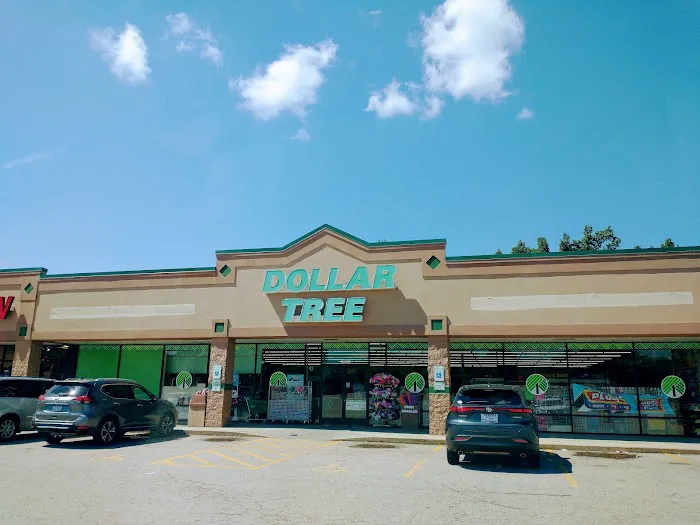 Dollar Tree 3