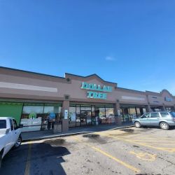 Dollar Tree ico