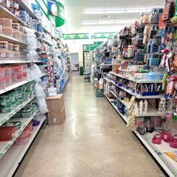 Dollar Tree ico