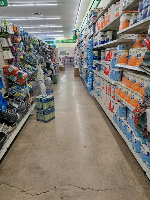 Dollar Tree 3