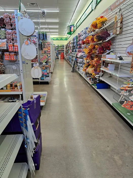 Dollar Tree 4