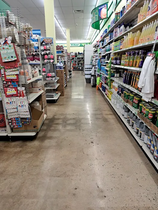 Dollar Tree 6