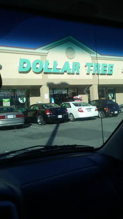 Dollar Tree 8