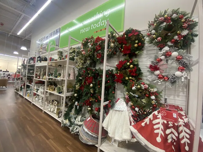 bealls 5