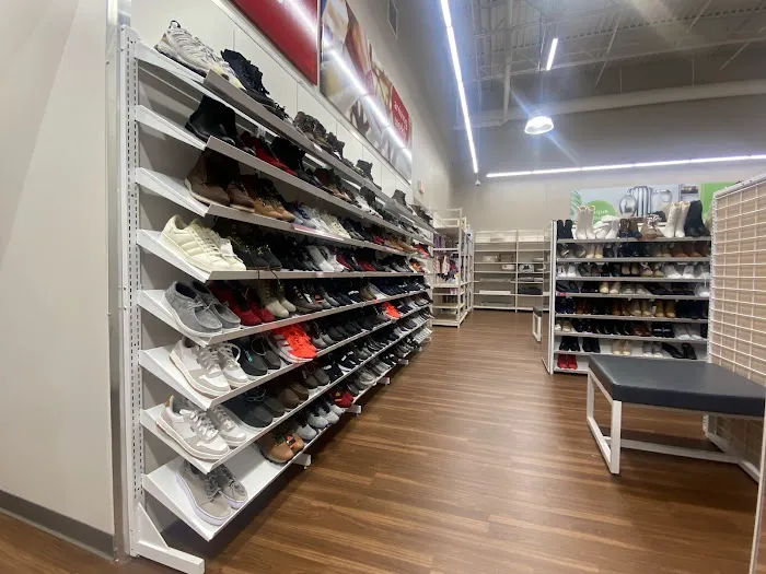 bealls 4