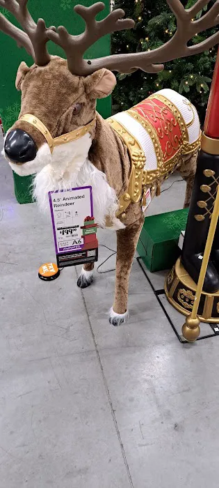 The Home Depot 2