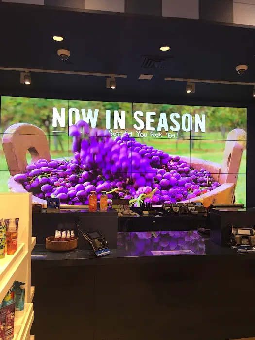 Bath & Body Works 9