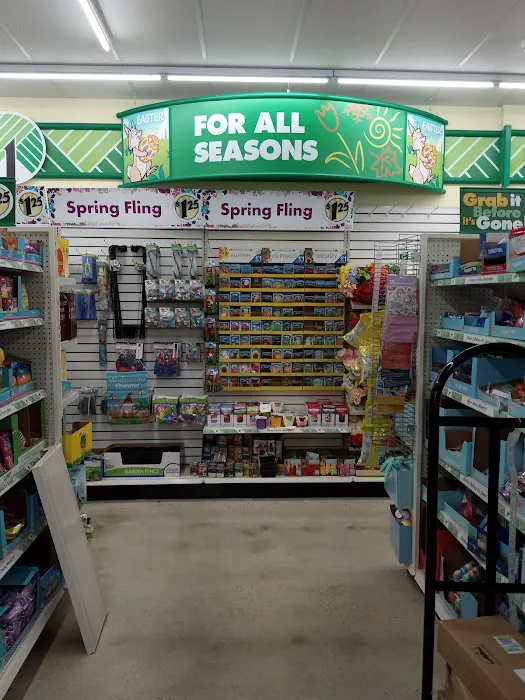 Dollar Tree 7