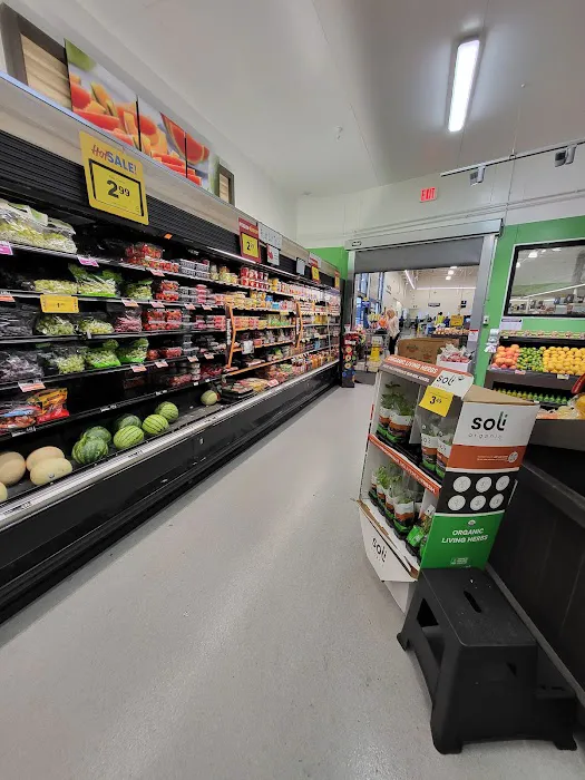 Food Lion 9