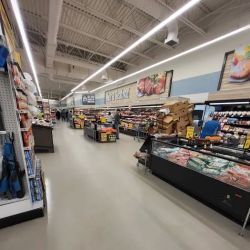Food Lion ico