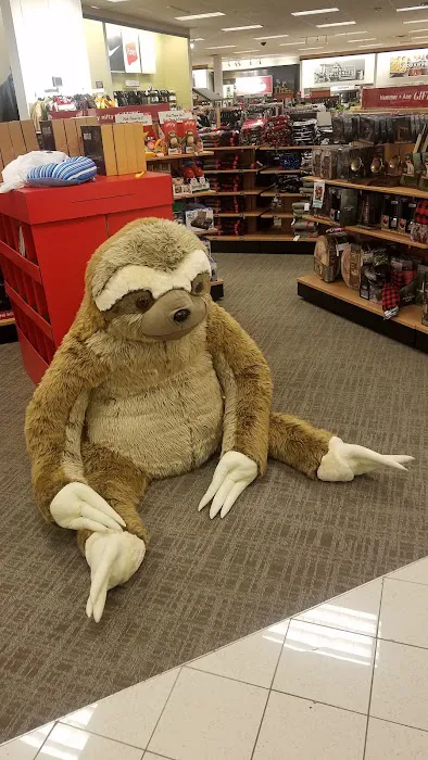 Kohl's 7