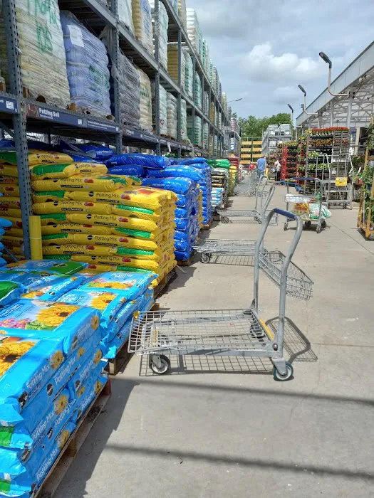 Lowe's Home Improvement 2