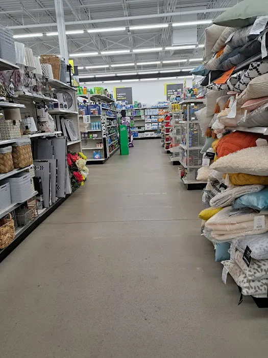 DG Market 5