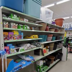 Dollar General ico