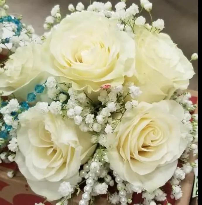 Cheryl's Secret Garden 3