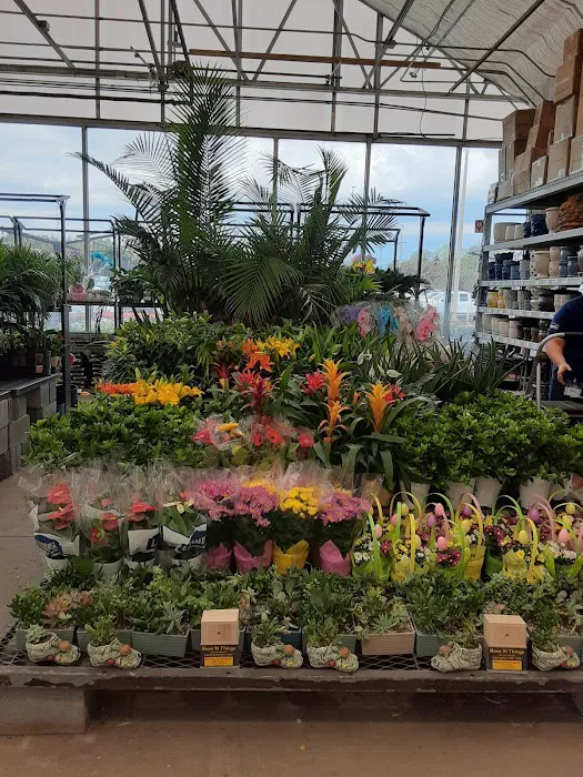 Lowe's Garden Center 3