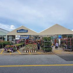 Lowe's Garden Center ico