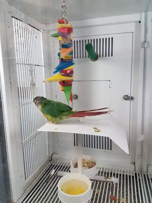 Petco 2