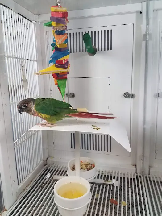 Petco 7