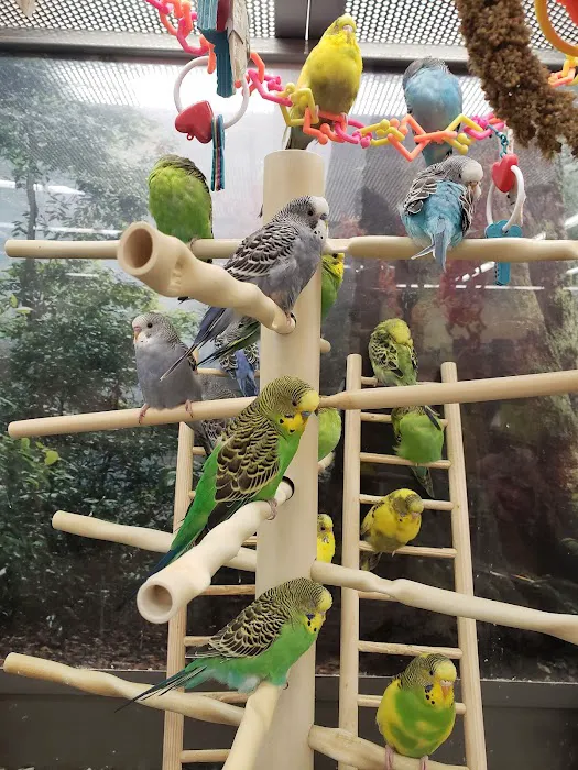 Petco 8