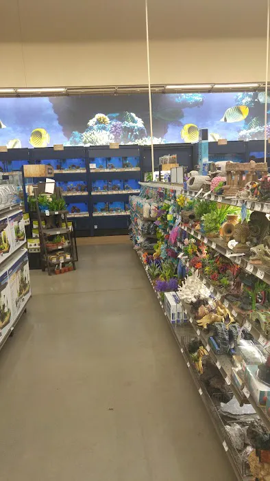 Petco 6