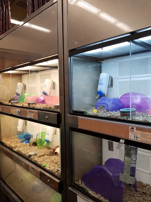 Petco 9